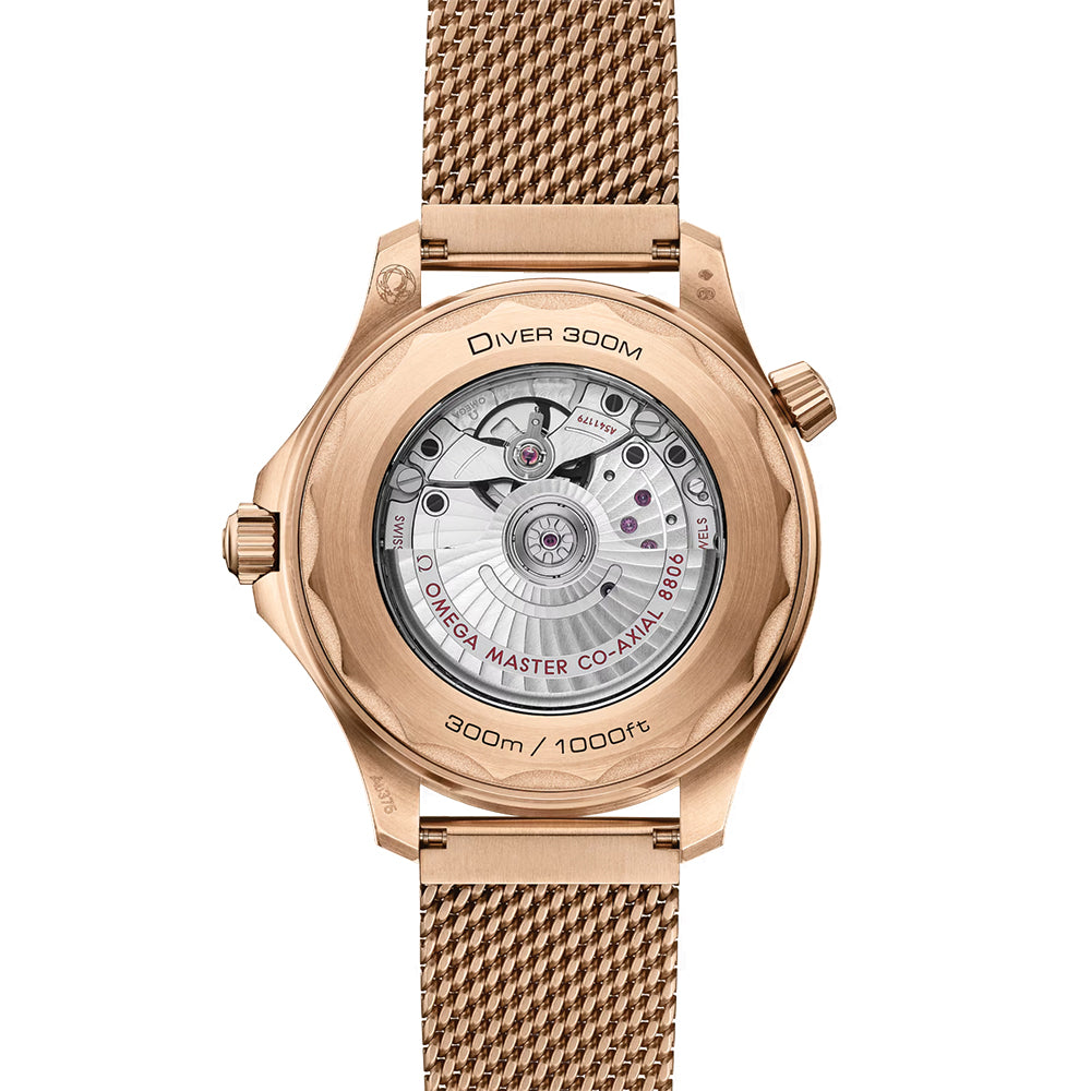 Seamaster Diver 300M Bronze Gold 42mm - Black on Bracelet