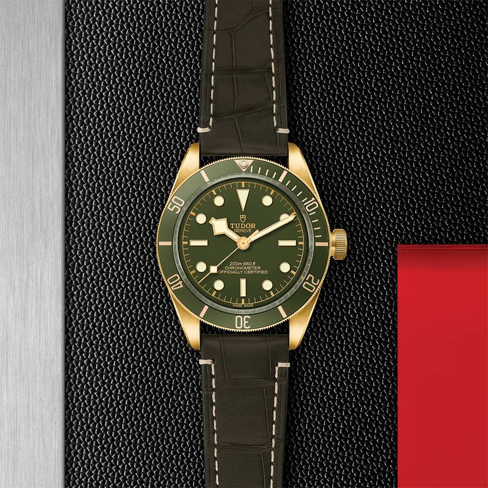 Black Bay 58 18K Yellow-Gold 39mm - Green on Leather Strap w/ Extra Fabric Strap